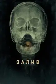 Залив (2012)